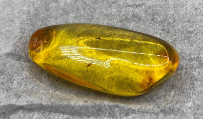 Baltic Amber