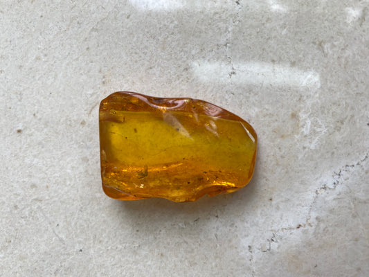 Baltic Amber