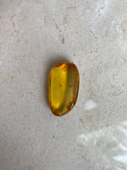 Baltic Amber