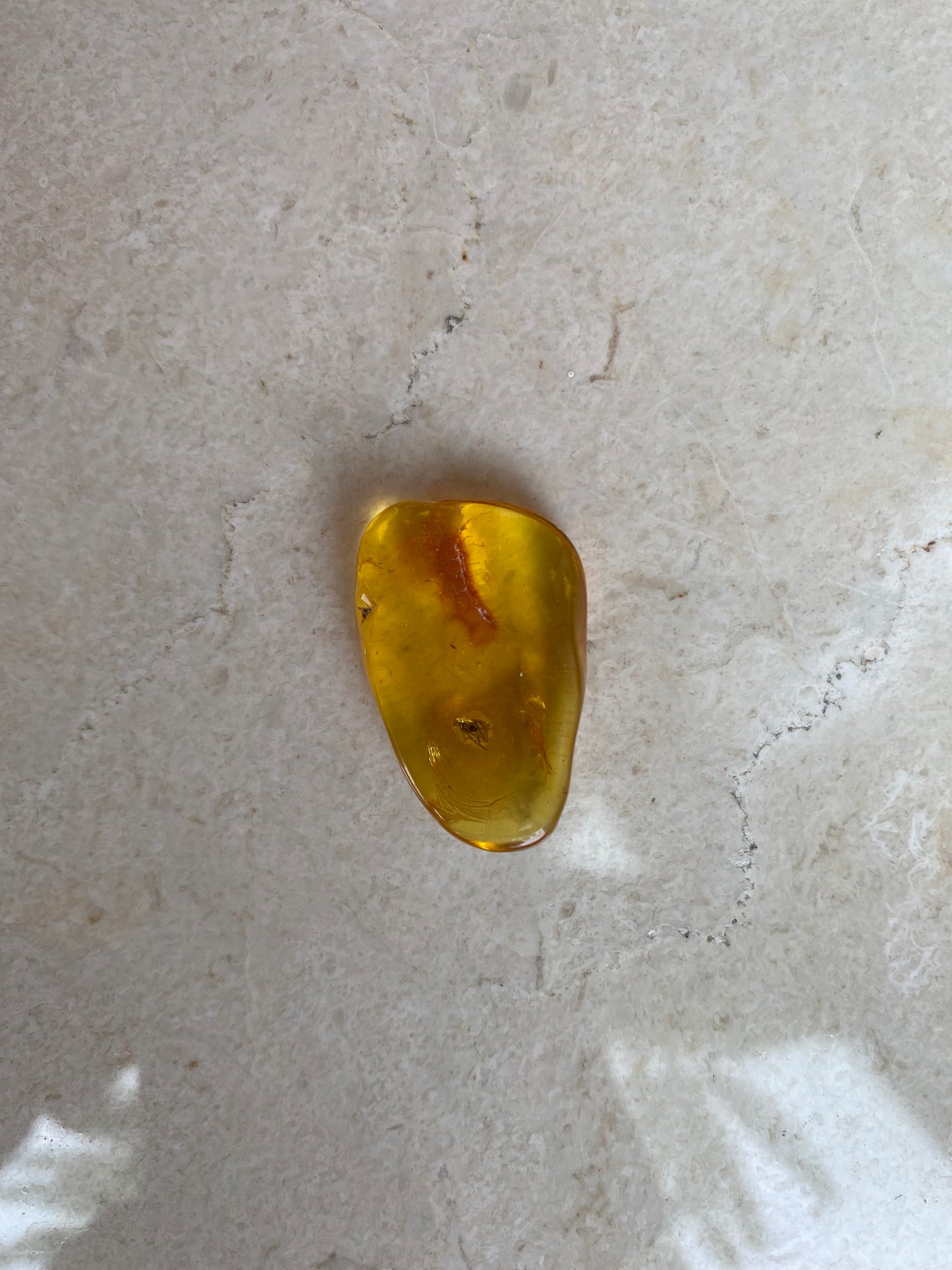 Baltic Amber