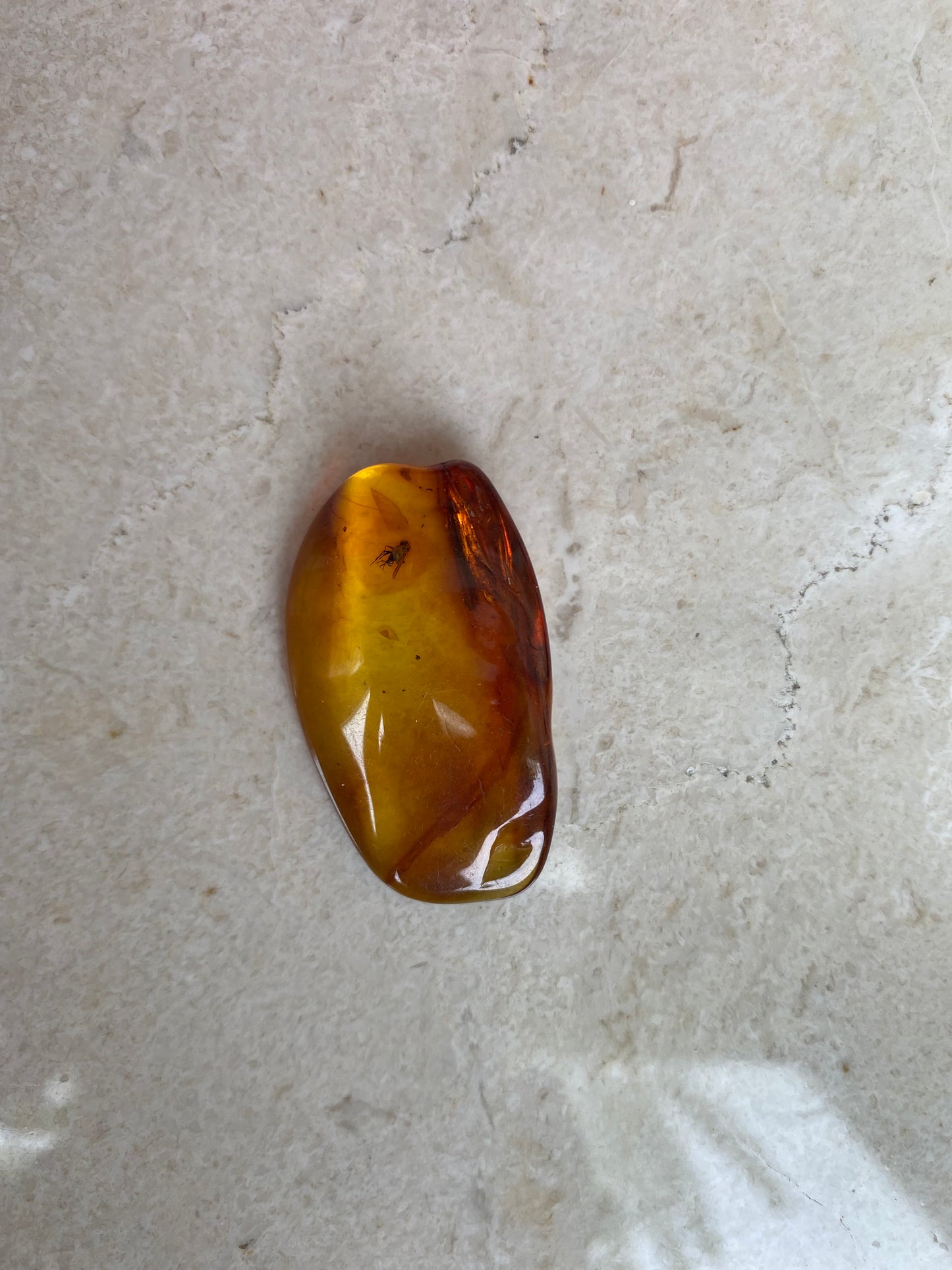 Baltic Amber