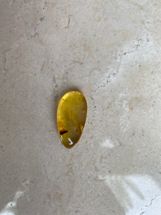 Dominican Amber