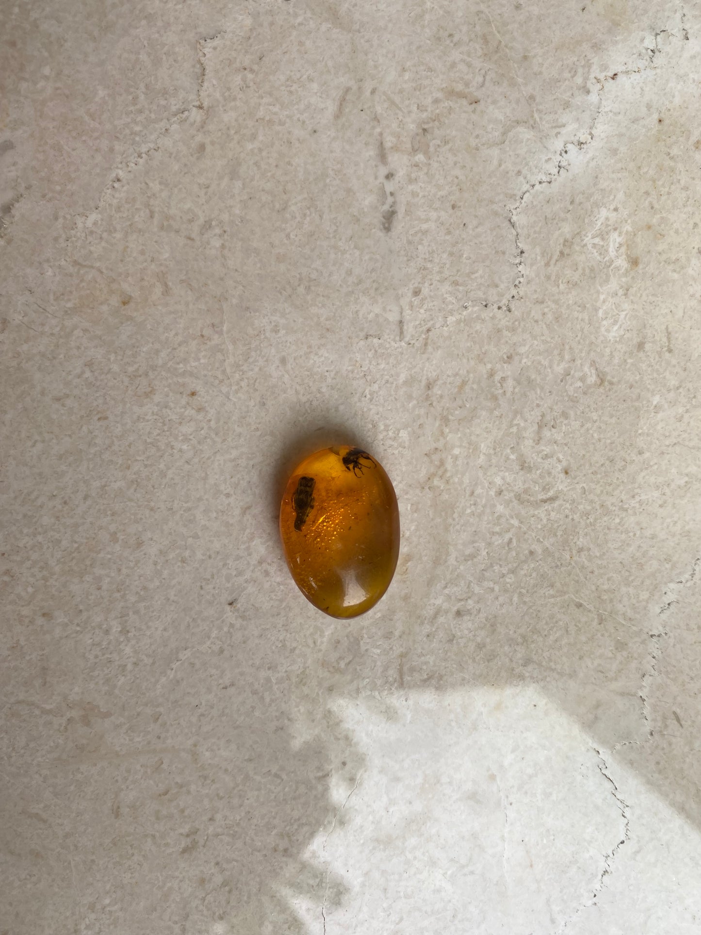 Dominican Amber