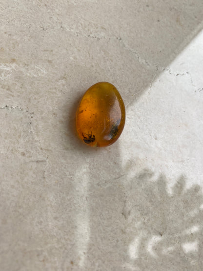 Dominican Amber