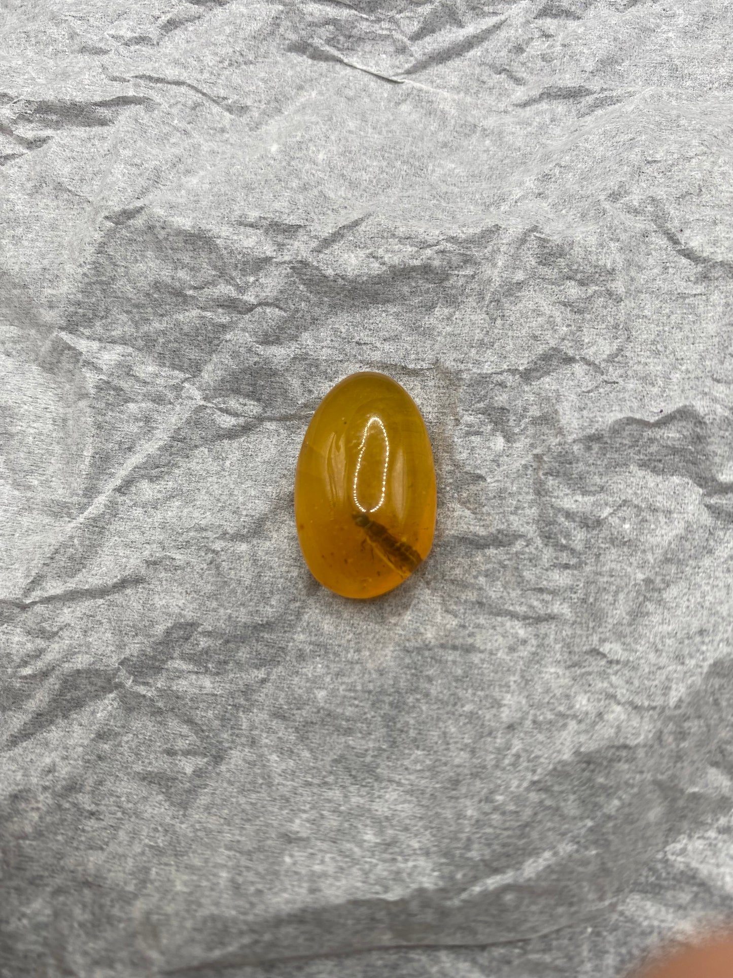 Dominican Amber